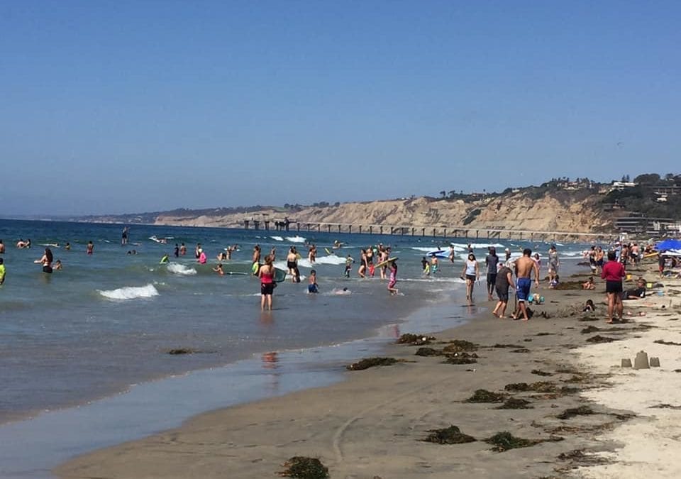 San Diego APA Juniors Volunteer for Coastal Cleanup Day